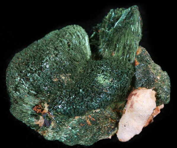 Silky, Fibrous Malachite Crystals - Morocco #42014